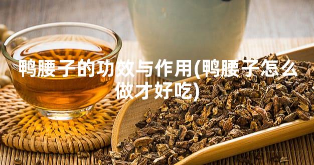 鸭腰子的功效与作用(鸭腰子怎么做才好吃)