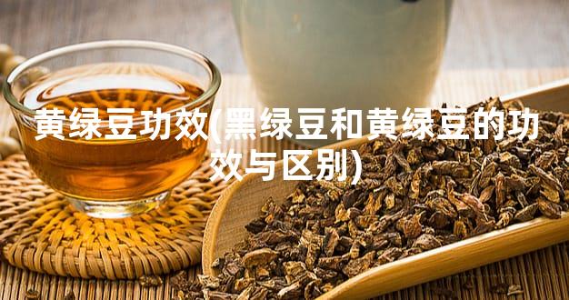 黄绿豆功效(黑绿豆和黄绿豆的功效与区别)