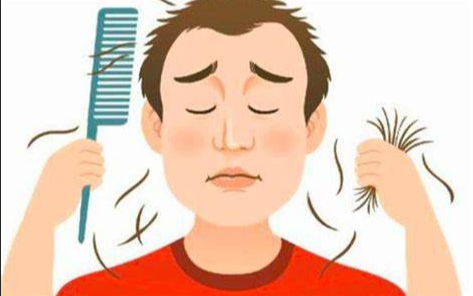 侧柏叶治疗脱发的优点和方法