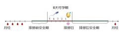 安全期怎么算准确呢，安全期是否固定