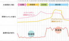 安全期查询， 这些方法简单又实用