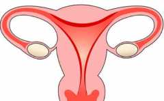 <b>引起子宫内膜炎的原因，主要有这4个，女性需警惕</b>