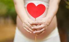 孕期12周后怎么安排饮食？这样安排有利于胎儿发育