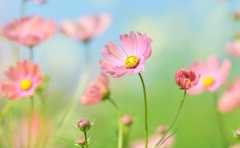 <b>子宫前位是什么意思,对日常生活有影响吗</b>