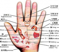 中医指纹掌纹诊病歌诀大全，其主要作用是这样的，一起来了解一下