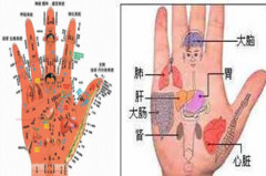 掌纹诊病靠谱吗，掌纹为何可以诊断疾病，原来其中大有奥妙