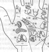 中医用掌纹看病有科学依据吗，两分钟带你了解真相