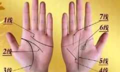 掌纹诊病之十四条线图介绍 我们的手掌上都有什么样的纹路