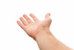 掌纹诊病收费标准 如何通过掌纹来判断身体的疾病