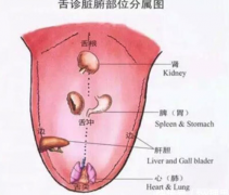 中医讲舌诊，从舌头看健康