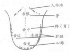 舌头除了日常我们所知道的，原来还可以反映出身体的健康情况