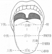 中医舌诊癌症前期该怎么发现呢？原来自己照镜子就能判断出来