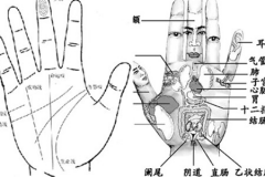 掌纹诊病使用禁忌有哪些，中医手诊的准确性