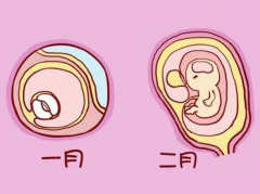 怀孕多久有孕囊 孕囊会对怀孕产生什么影响