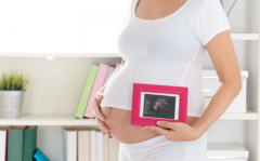怀孕几周是胎儿 胚胎发育的旅程